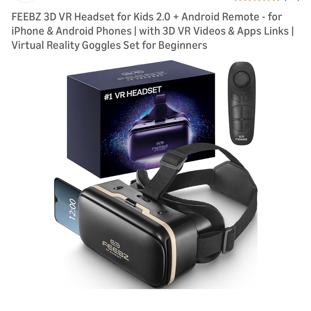 Black VR Headset with Remote
